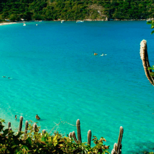 Praia-lopes-mendes_1600x