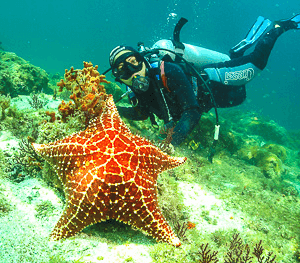 mergulho-ilha-grande-4